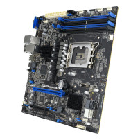 ASUS P13R-M/10G-2T Intel C262 LGA 1700 micro ATX