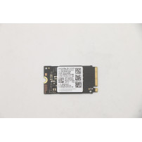 Lenovo 5SS0V42253 drives allo stato solido 256 GB M.2 PCI Express