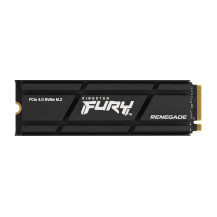 Kingston Technology 2000G RENEGADE PCIe 4.0 NVMe SSD W/ Dissipatore di calore