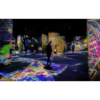 Epson EB-PU1008B Proiettore per grandi ambienti 8500 ANSI lumen 3LCD WUXGA (1920x1200) Nero