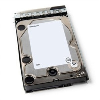 DELL 401-ABHY disco rigido interno 12 TB 7200 Giri/min 3.5" Serial ATA III