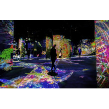 Epson EB-PU2010B Proiettore per grandi ambienti 10000 ANSI lumen 3LCD WUXGA (1920x1200) Nero