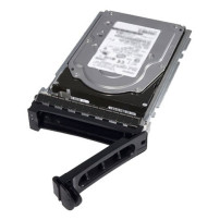 DELL 161-BBRC disco rigido interno 2 TB 7200 Giri/min 3.5" Serial ATA III