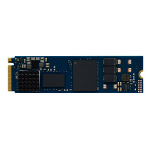 Kingston Technology 480G DC2000B PCIe 4.0 M.2 2280 Enterprise SSD