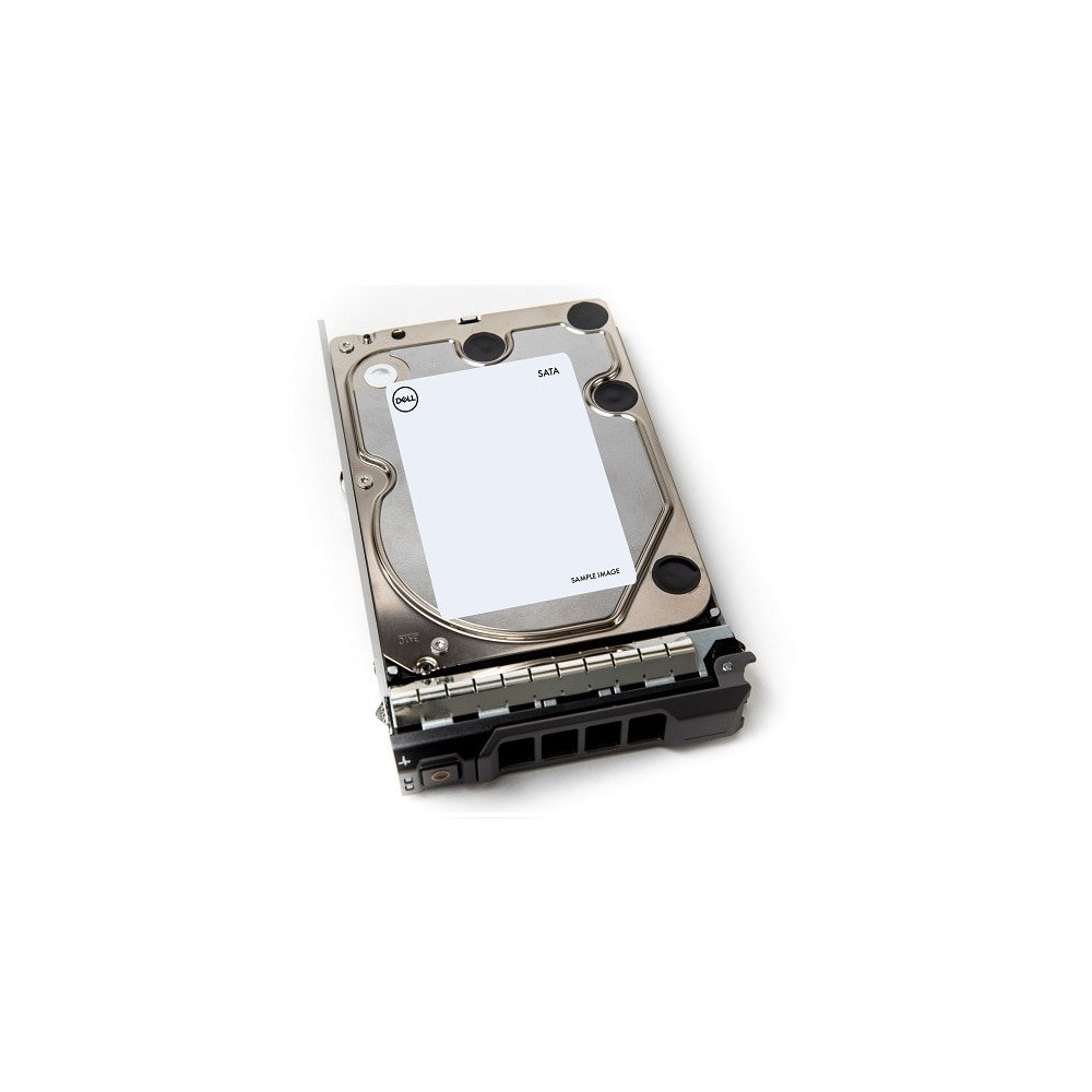 DELL 400-AEFB disco rigido interno 1 TB 7200 Giri/min 3.5" Serial ATA III