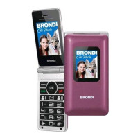 BRONDI AMICO PREZIOSO DUAL SIM 2.8" 32M+32M TASTI GRANDI TASTO SOS FOTOCAMERA 1.3 MP VIOLET METAL
