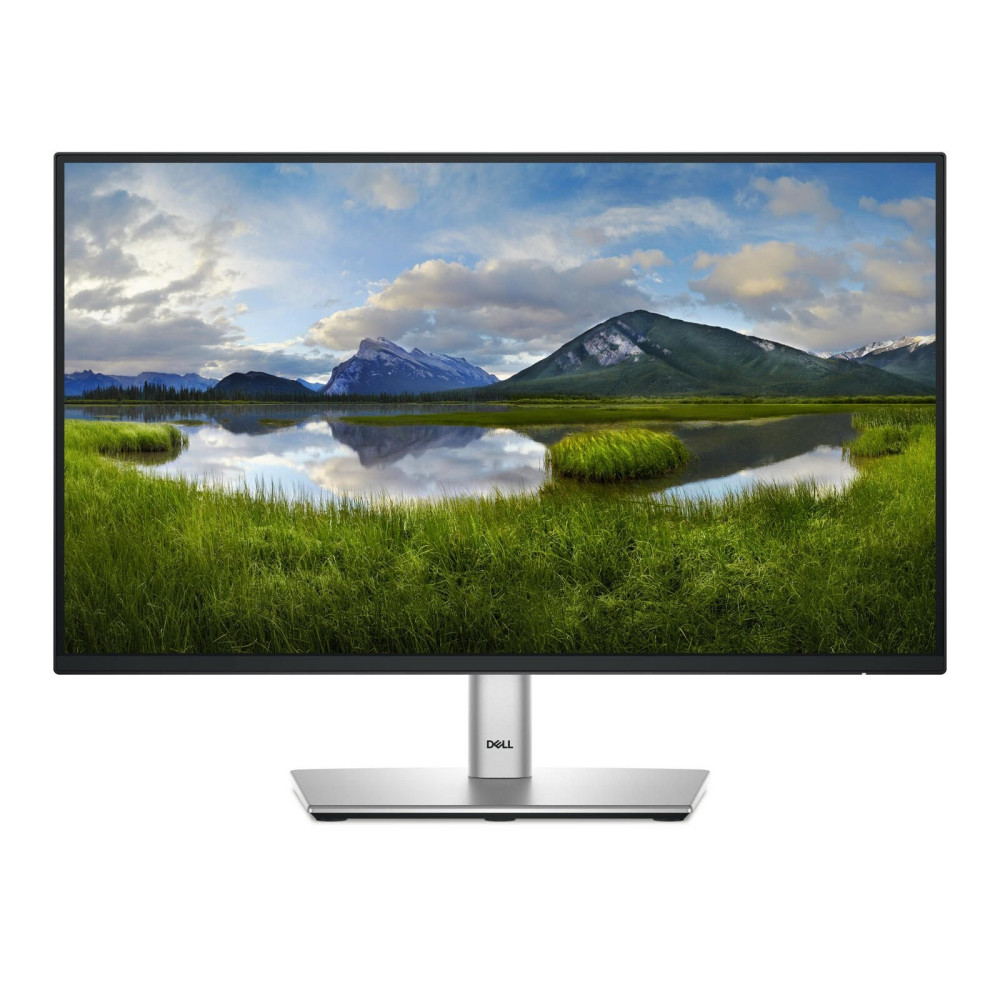 Monitor Dell P2225H (21,5 pollici) 54,5 cm