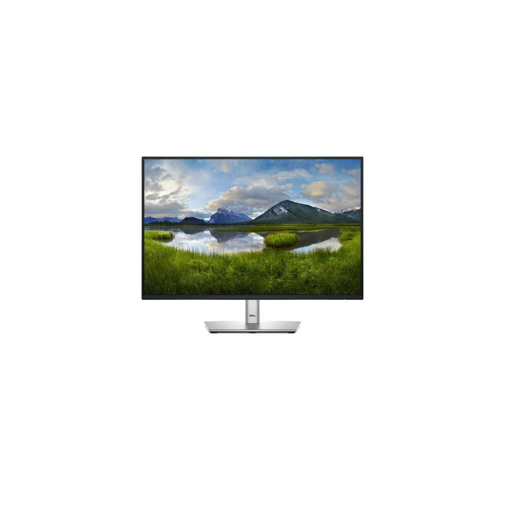 Monitor Dell P2425 (24 pollici) 61,1 cm