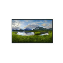 Monitor Dell P2425HWO (24 pollici) 61 cm