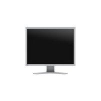 Eizo Flexscan S2134-GY Monitor LCD 54 cm 21,3 pollici