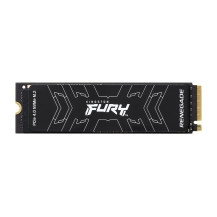 Kingston Technology 2000G FURY RENEGADE M.2 2280 NVMe SSD