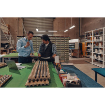 HP ProBook 440 G11 Intel Core Ultra 5 125U Computer portatile 35,6 cm (14") WUXGA 16 GB DDR5-SDRAM 512 GB SSD Wi-Fi 6E (802.11ax