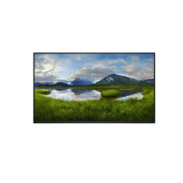 Dell P2425Hewo Monitor (24 pollici) 61 cm