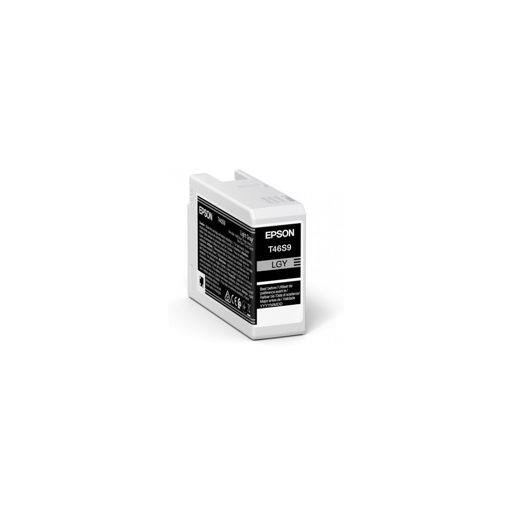 Epson UltraChrome Pro cartuccia d'inchiostro 1 pz Originale Grigio chiaro Epson UltraChrome Pro cartuccia d'inchiostro 1 pz Originale Grigio chiaro