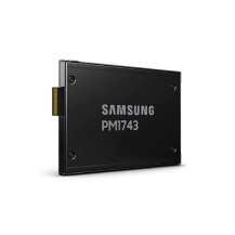 Samsung PM1743 MZWLO3T8HCLS - SSD - crittografato - 3,84 TB - interno - 2,5" (6,4 cm)