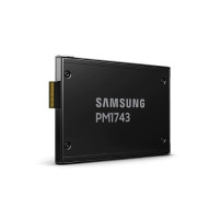 Samsung PM1743 MZWLO3T8HCLS - SSD - crittografato - 3,84 TB - interno - 2,5" (6,4 cm)