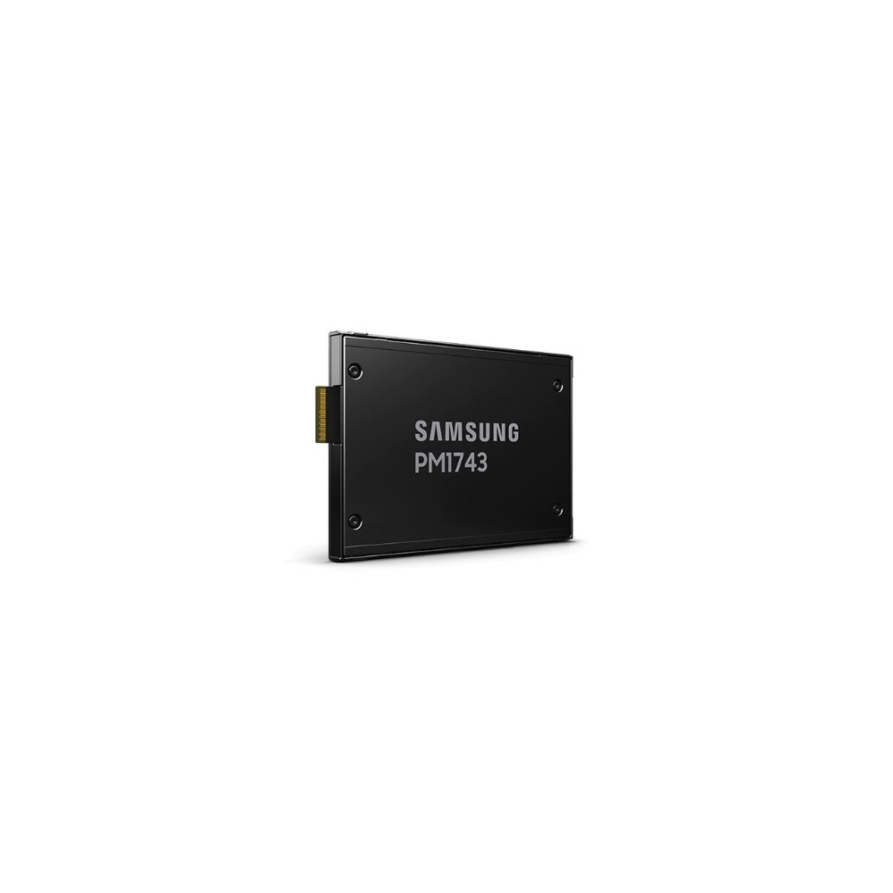 Samsung PM1743 MZWLO3T8HCLS - SSD - crittografato - 3,84 TB - interno - 2,5" (6,4 cm)