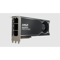 AMD Radeon Pro W7900 - Scheda video - Radeon Pro W7900 - 48 GB GDDR6 - PCI Express 4.0 x16 (dispositivo figlio)