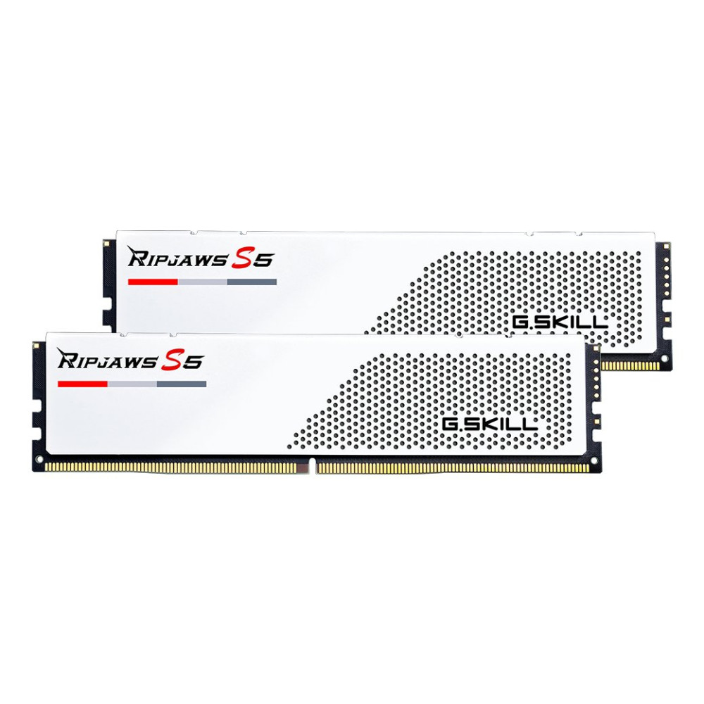 G.Skill F5-6000J3036F24GX2-RS5W, 48 GB, 2 x 24 GB, DDR5, 6000 MHz, 288-pin DIMM