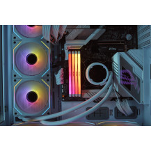 Kingston FURY Renegade RGB - DDR5 - Modulo - 32 GB
