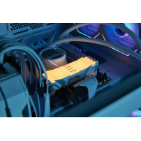 Kingston FURY Renegade RGB - DDR5 - Modulo - 32 GB