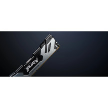 Kingston FURY Renegade Argento - DDR5 - Modulo