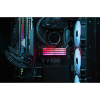 Kingston FURY Renegade RGB - DDR5 - Modulo - 16