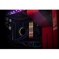 Kingston FURY Renegade RGB - DDR4 - Kit - 64