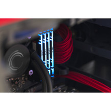 Kingston FURY Renegade RGB - DDR4 - Set - 32