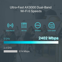 TP-LINK Omada ER706W, Dual-Band (2,4 GHz/5 GHz), Ethernet/LAN, Nero, Router da scrivania/piolo