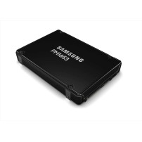 Samsung PM1653 MZILG3T8HCLS - SSD - 3.84 TB - interno (stabile installazione)