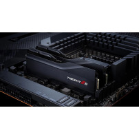 G.Skill Trident Z5 - DDR5 - Kit - 32 GB: 2 x