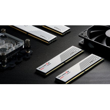 G.Skill Ripjaws S5 - DDR5 - Kit - 32 GB: 2 x