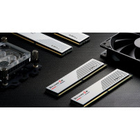 G.Skill Ripjaws S5 - DDR5 - Kit - 32 GB: 2 x