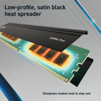 Crucial DDR4 - Set - 64 GB: 2 x 32 GB - DIMM