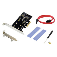 Conceptronic EMRICK 2-in-1 adattatore M.2 SSD PCIe per SATA AHCI NVMe, PCIe, M.2, PCIe 3.0, passivo, Cina, JMB585
