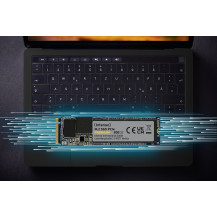 Intenso Premium - SSD - 2 TB - interno - M.2 2280 - PCIe 3.0 x4 (NVMe)