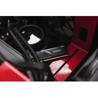 Kingston FURY Beast - DDR4 - kit - 32 GB: 2 x