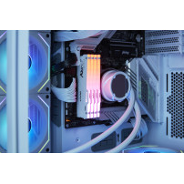 Kingston FURY Beast RGB - DDR4 - kit - 64 GB: