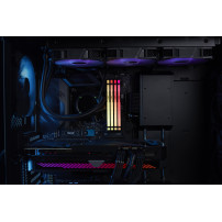 Kingston FURY Beast RGB - DDR5 - kit - 64 GB: