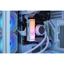 Kingston FURY Beast RGB - DDR5 - kit - 32 GB: