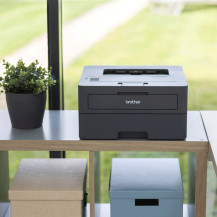 Brother HL-L2445DW - Stampante - n/c (probabilmente si riferisce a "nero e bianco" o "software") - Duplex