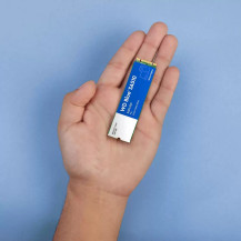 WD Blue SA510 WDS200T3B0B-00C7C0 - SSD - 2 TB