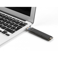 Adattatore di interfaccia Delock - M.2 - Carta M.2 (PCIe NVMe & SATA)