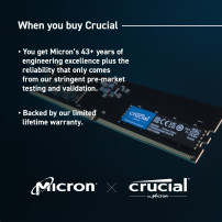 DDR5 Crucial - Modulo - 8 GB - DIMM 288-PIN