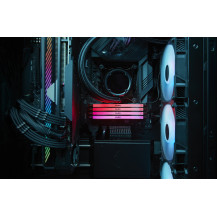 Kingston FURY Renegade RGB - DDR5 - Modulo - 48