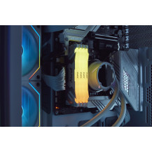 Kingston FURY Renegade RGB - DDR5 - Modulo - 48