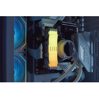 Kingston FURY Renegade RGB - DDR5 - Modulo - 48