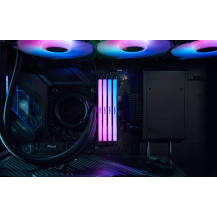 Kingston FURY Renegade RGB - DDR5 - Modulo - 48