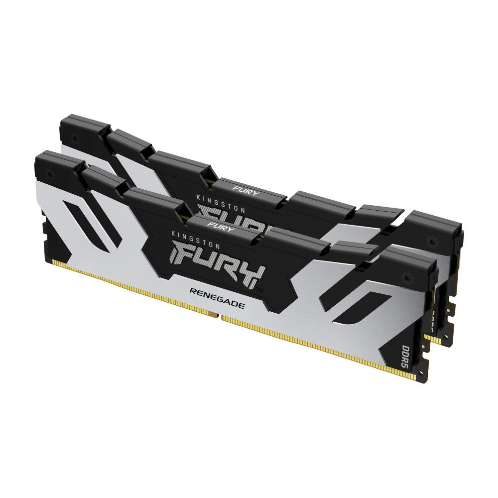 Kingston FURY Renegade Argento - DDR5 - kit